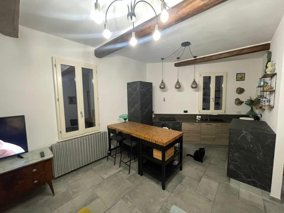 App Di Tania Apartment Reggio Emilia Bagian luar foto